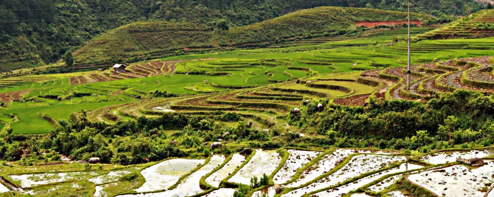 The curves of Northern highlands