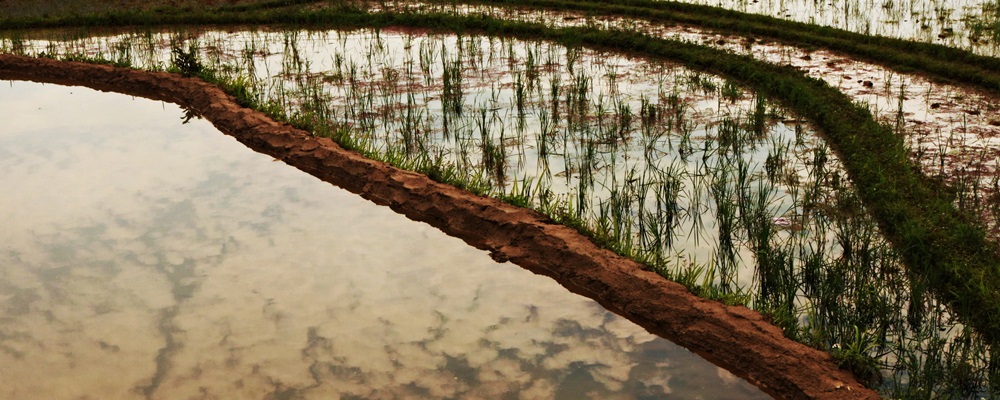 The curves of Northern highlands