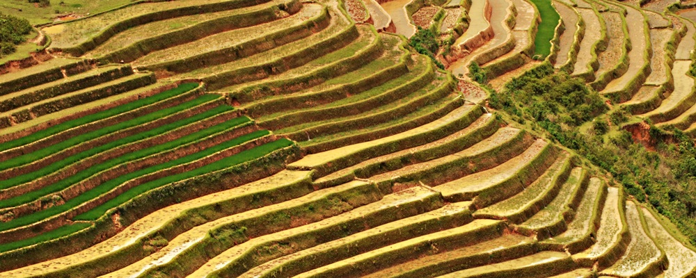 The curves of Northern highlands