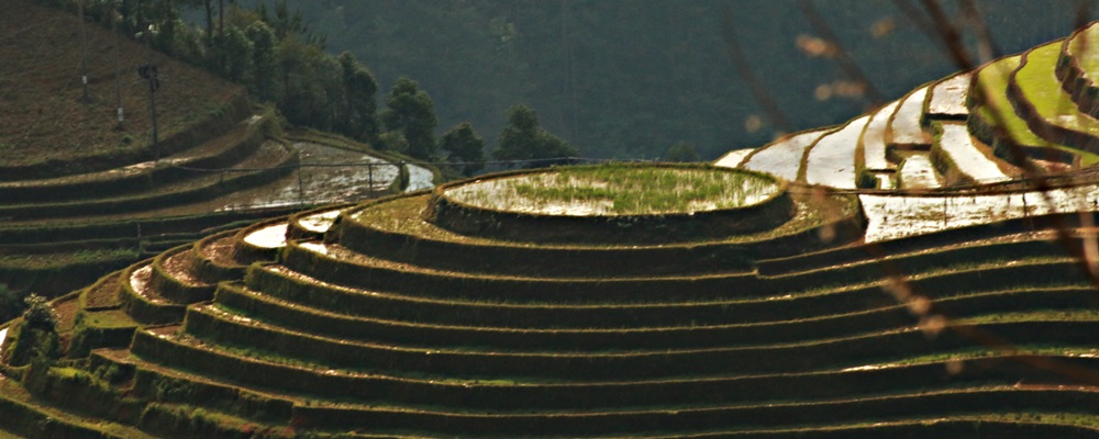 The curves of Northern highlands