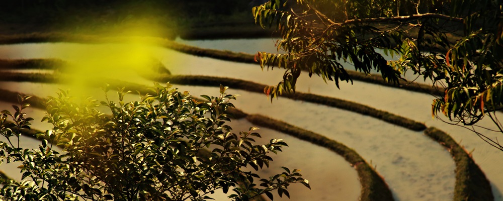 The curves of Northern highlands