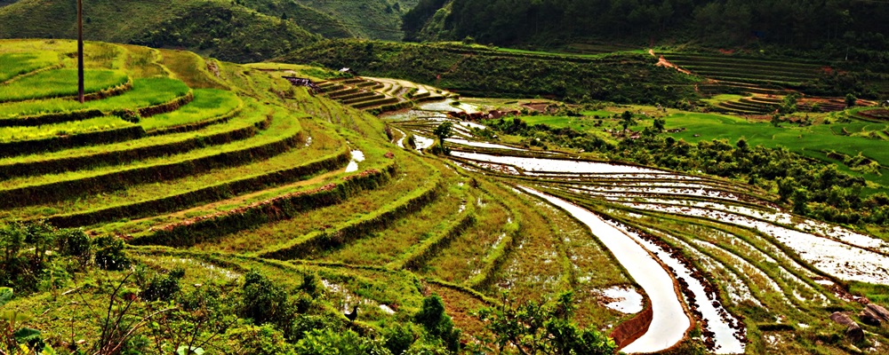 The curves of Northern highlands