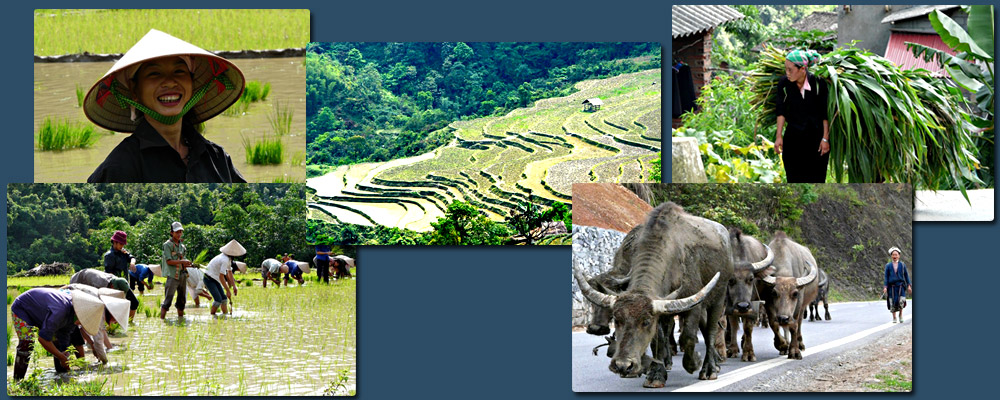 les hauts plateaux du nord-est et les ethnies