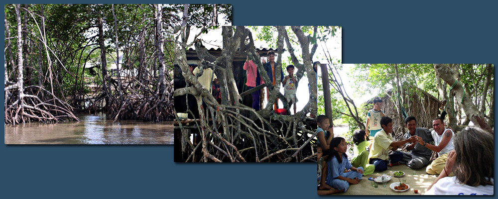 The delta of the nine dragons river