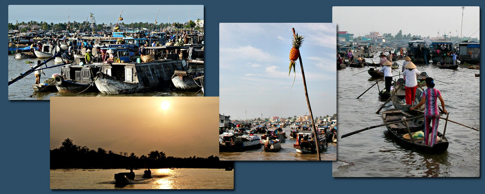 The delta of the nine dragons river