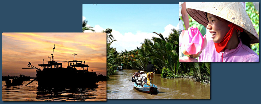 The delta of the nine dragons river